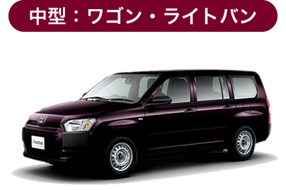 法人車種01
