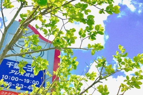 アレス成田
