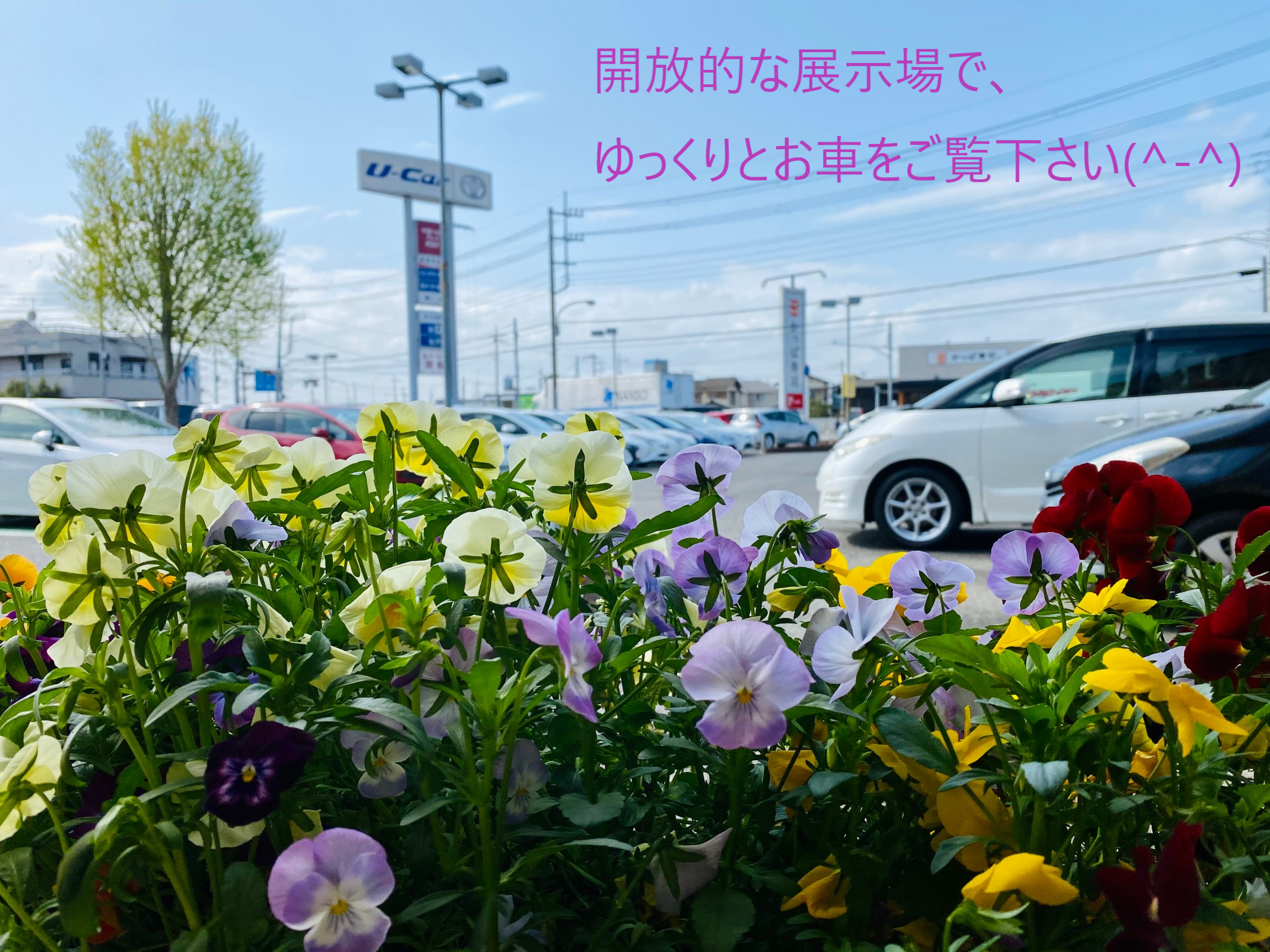 アレス東金店 千葉トヨタ自動車株式会社 アレス東金店 千葉トヨタ自動車株式会社