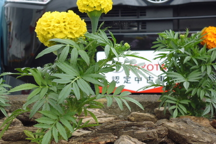 花