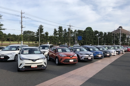 6.11展示