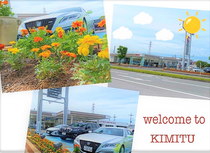 君津店 千葉トヨタ自動車株式会社 君津店 千葉トヨタ自動車株式会社