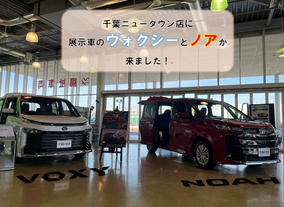 千葉ニュータウン店 千葉トヨタ自動車株式会社 千葉ニュータウン店 千葉トヨタ自動車株式会社