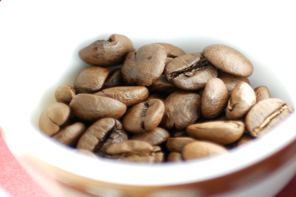 スクリーンショット 2026-01-27 125438