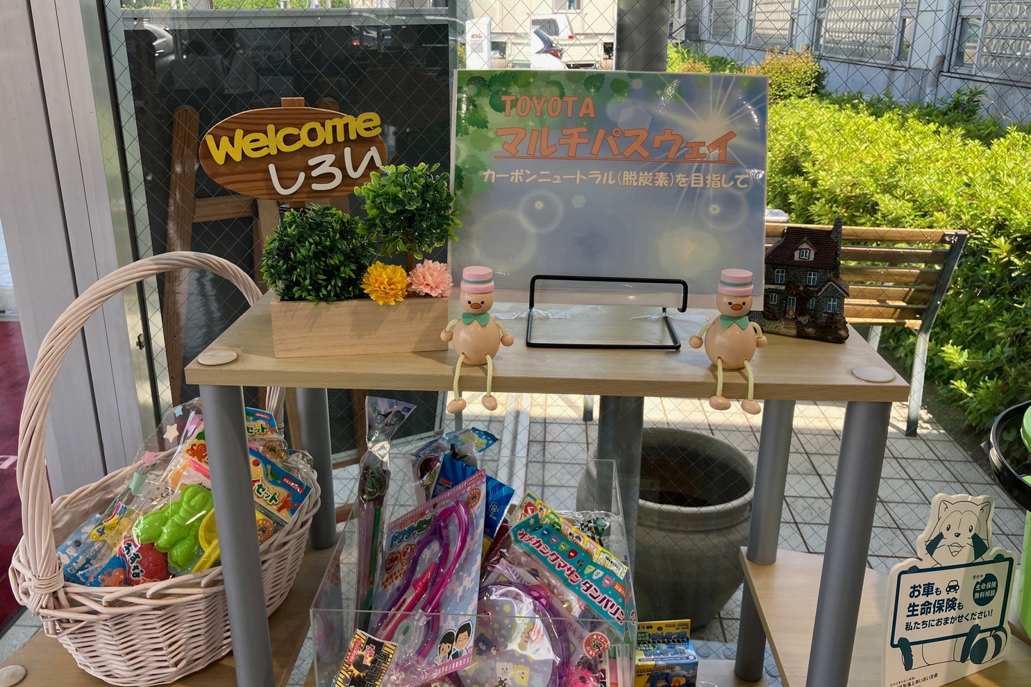 しろい①