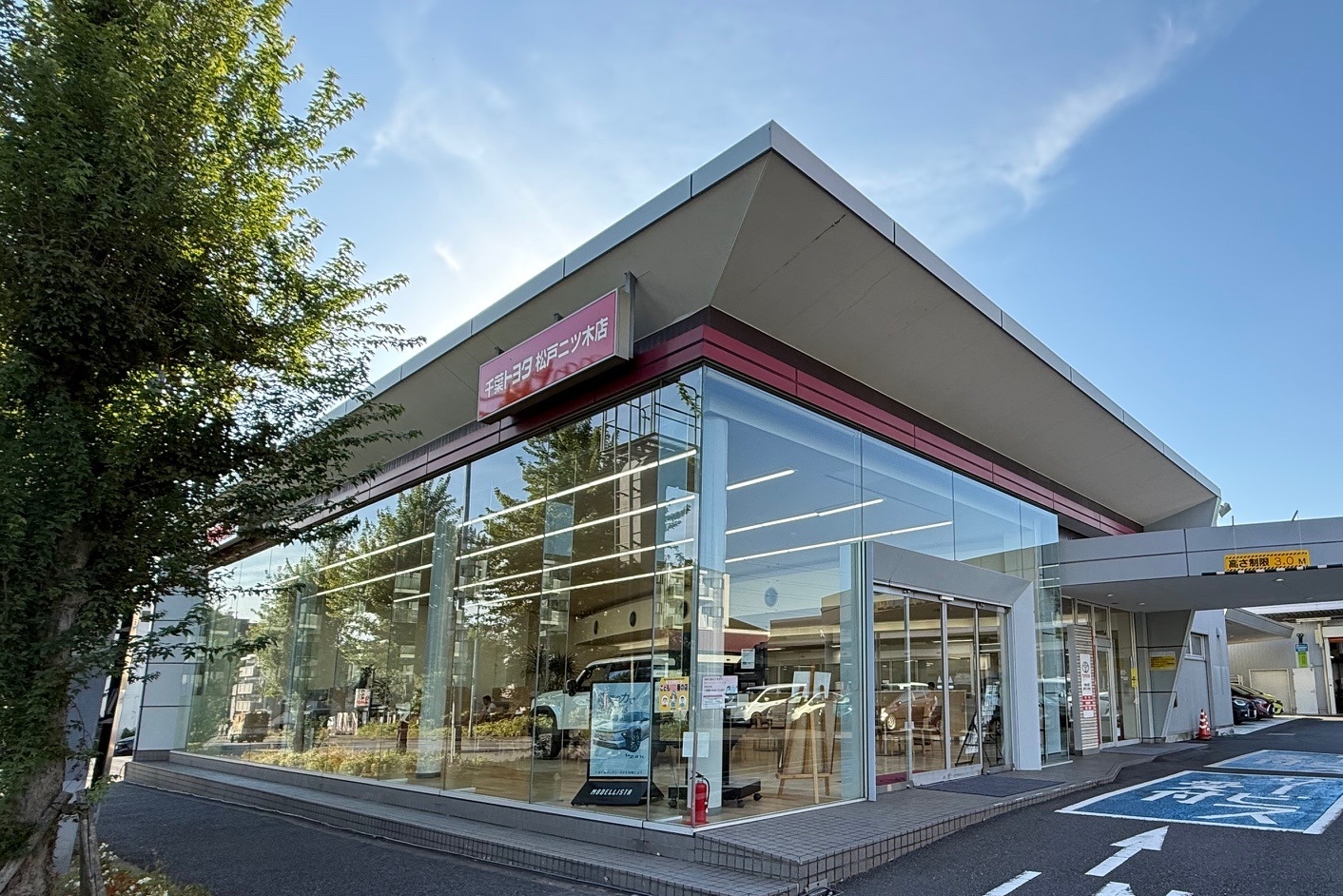 松戸二ツ木店